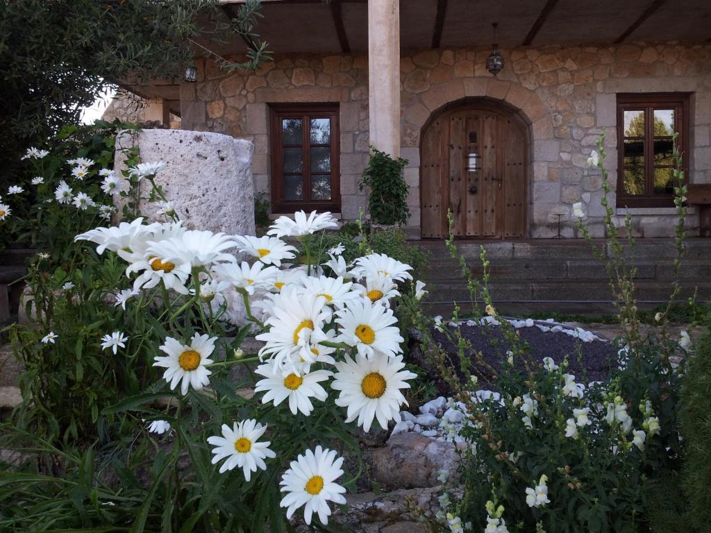 Hotel Rural San Pelayo San Pelayo  Kültér fotó